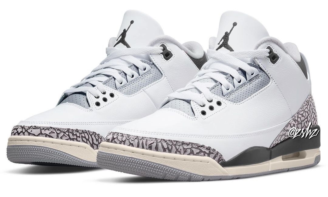 【国内 6/6 発売】ナイキ GS エア ジョーダン 3 “アニマルアイコン” (NIKE GS AIR JORDAN 3 “Animal Icon”) [DX6665-100]