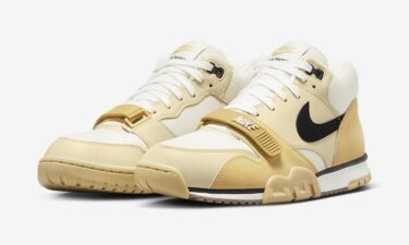 2023年 発売予定！ナイキ エア トレイナー 1 "ウィート/タン" (NIKE AIR TRAINER 1 "Wheat/Tan") [DV7201-100]