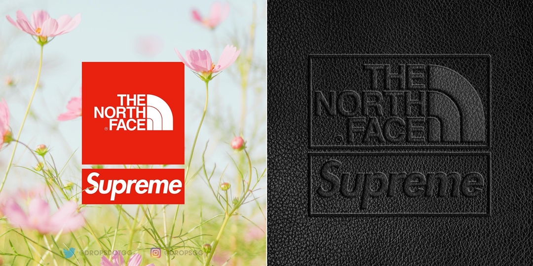 【SUPREME 2023 S/S - シュプリーム 2023年春夏】国内 3/11 - week 3にSupreme/The North Face が登場か？！