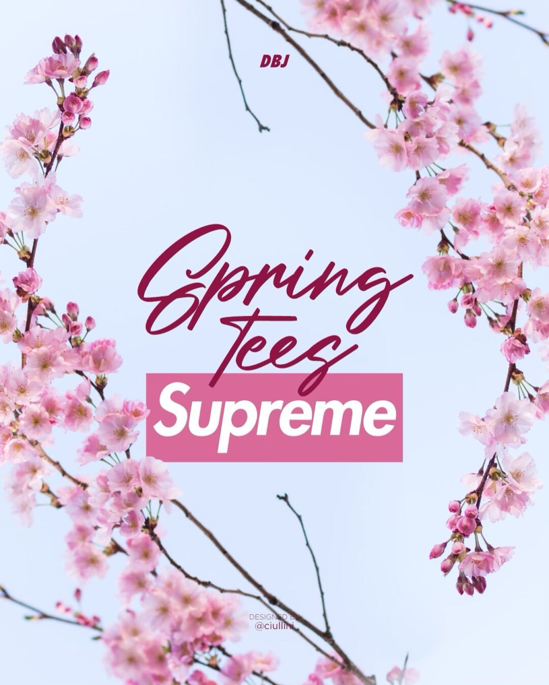 【SUPREME 2023 S/S - シュプリーム 2023年春夏】国内 4/22発売予定 - week 9にSupreme Spring Teeが登場