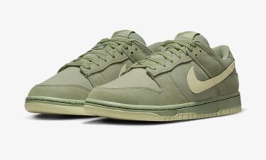 2023年 10月~12月 発売予定！ナイキ ダンク ロー レトロ プレミアム “オイルグリーン” (NIKE DUNK LOW RETRO PREMIUM “Oil Green”) [FB8895-300]