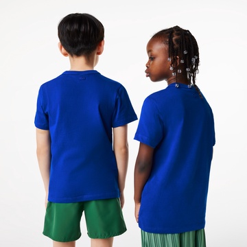 4/12 発売！Lacoste × Netflix コラボコレクション (ラコステ ネットフリックス)