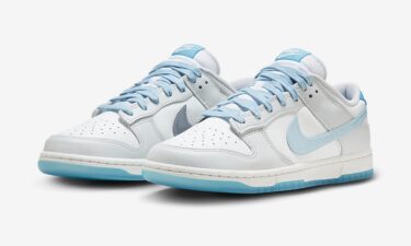 2023年 発売予定！ナイキ GS ダンク ロー “TPU スウッシュ/520” (NIKE GS DUNK LOW “TPU Swoosh/520”) [FN3433-141]