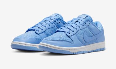 海外 7/25 発売予定！ナイキ ダンク ロー プレミアム “トポグラフィー/ユニバーシティブルー” (NIKE DUNK LOW PREMIUM “Topographic/University Blue”) [FN6834-412]