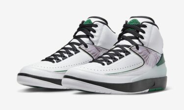 海外 6/10 発売予定！ナイキ エア ジョーダン 2 レトロ WF “ウィングス″ (NIKE AIR JORDAN 2 RETRO WF “Wings”) [DZ7391-103]