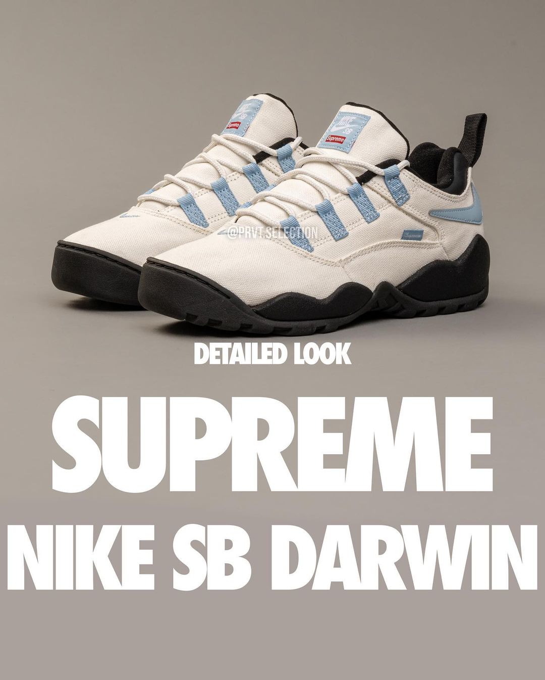 【2024年 5/4 発売】シュプリーム × ナイキ SB ダーウィン ロー (SUPREME NIKE SB DARWIN LOW) [FQ3000-001/FQ3000-100/FQ3000-200/FQ3000-700]