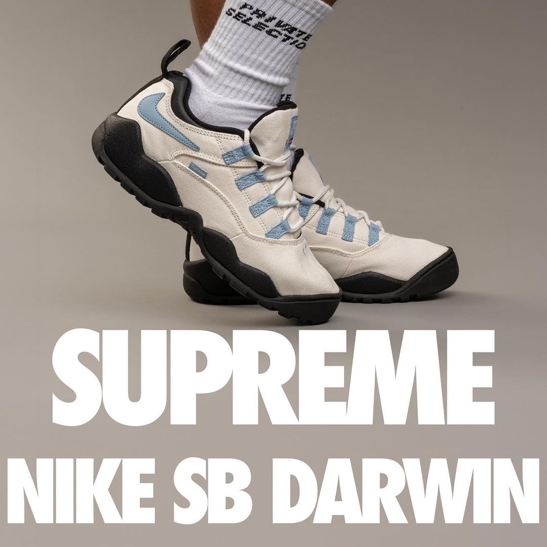 【2024年 5/4 発売】シュプリーム × ナイキ SB ダーウィン ロー (SUPREME NIKE SB DARWIN LOW) [FQ3000-001/FQ3000-100/FQ3000-200/FQ3000-700]