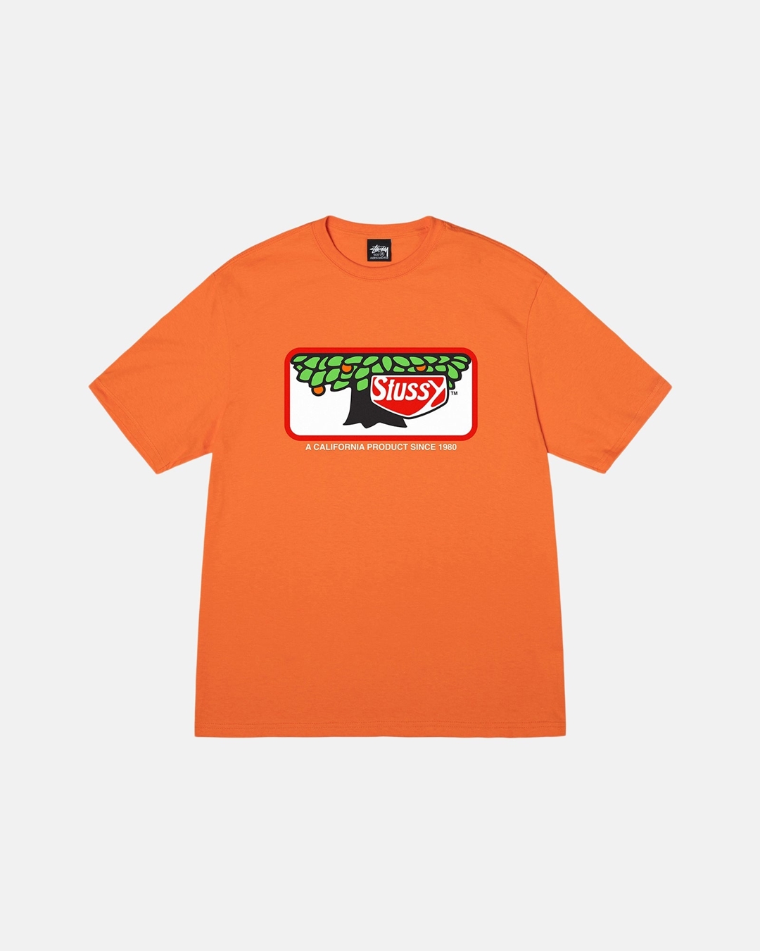 STUSSY “NEW GRAPHICS FOR SPRING TEE”が7/7 発売 (ステューシー)