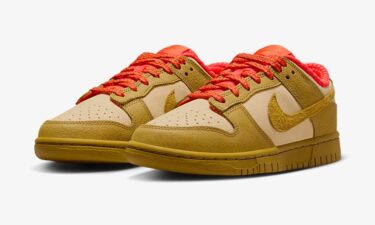 海外 12/1 発売予定！ナイキ ダンク ロー “セサミ/ブロンズ/ピカンテレッド” (NIKE DUNK LOW “Sesame/Bronzine/Picante Red”) [FQ8897-252]