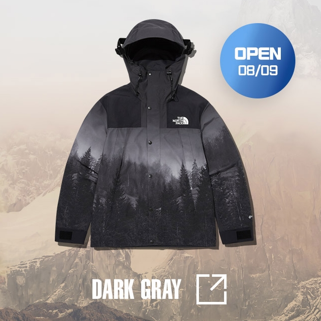 海外 8/7 発売！THE NORTH FACE Gore-Tex Mountain Vista Jacket “Blue Stone/Dark Grey” (ザ・ノース・フェイス マウンテン ジャケット ゴアテックス) [NJ2GP60B]