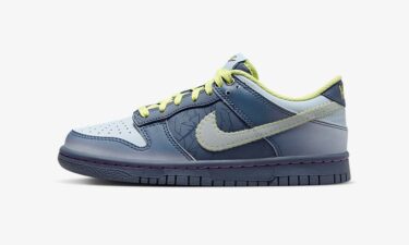 【国内 10/15 発売】ナイキ GS ダンク ロー “ハロウィン 2023/フィアレス” (NIKE GS DUNK LOW “Halloween 2023/Fearless”) [FQ8354-491]