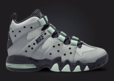 2024年 春 発売予定！ナイキ エア マックス CB 94 “ライトスモークグレー/ダークスモークグレー” (NIKE AIR MAX CB 94 “Light Smoke Grey/Dark Smoke Grey”) [FJ4180-001]