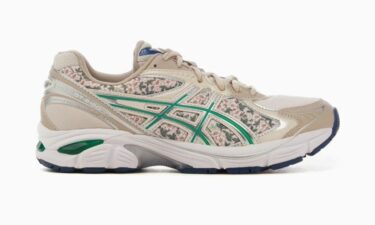 海外発売！ASICS WMNS GT-2160 "Winter Garden" (アシックス ウィメンズ "ウィンターガーデン") [1202A439.250]