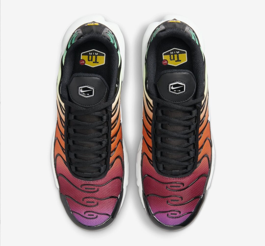 【国内 12/18 発売】NIKE AIR MAX PLUS “Rainbow” (ナイキ エア マックス プラス “レインボー”) [DZ3670-001]