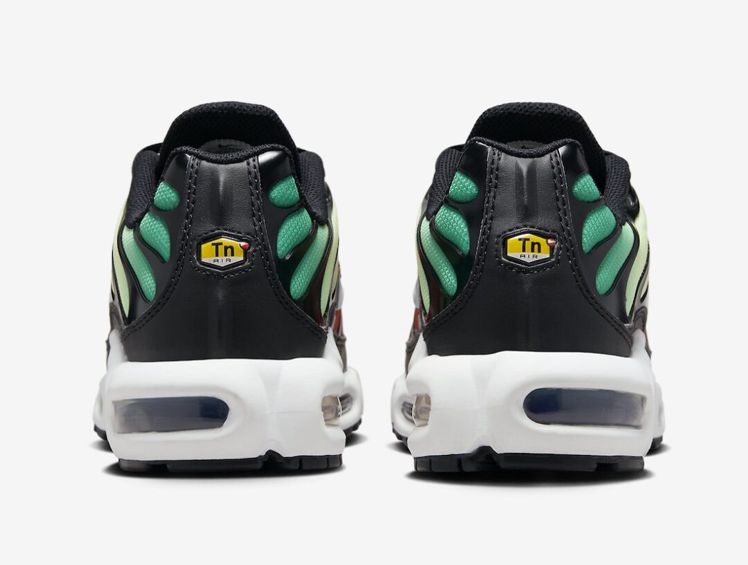 【国内 12/18 発売】NIKE AIR MAX PLUS “Rainbow” (ナイキ エア マックス プラス “レインボー”) [DZ3670-001]