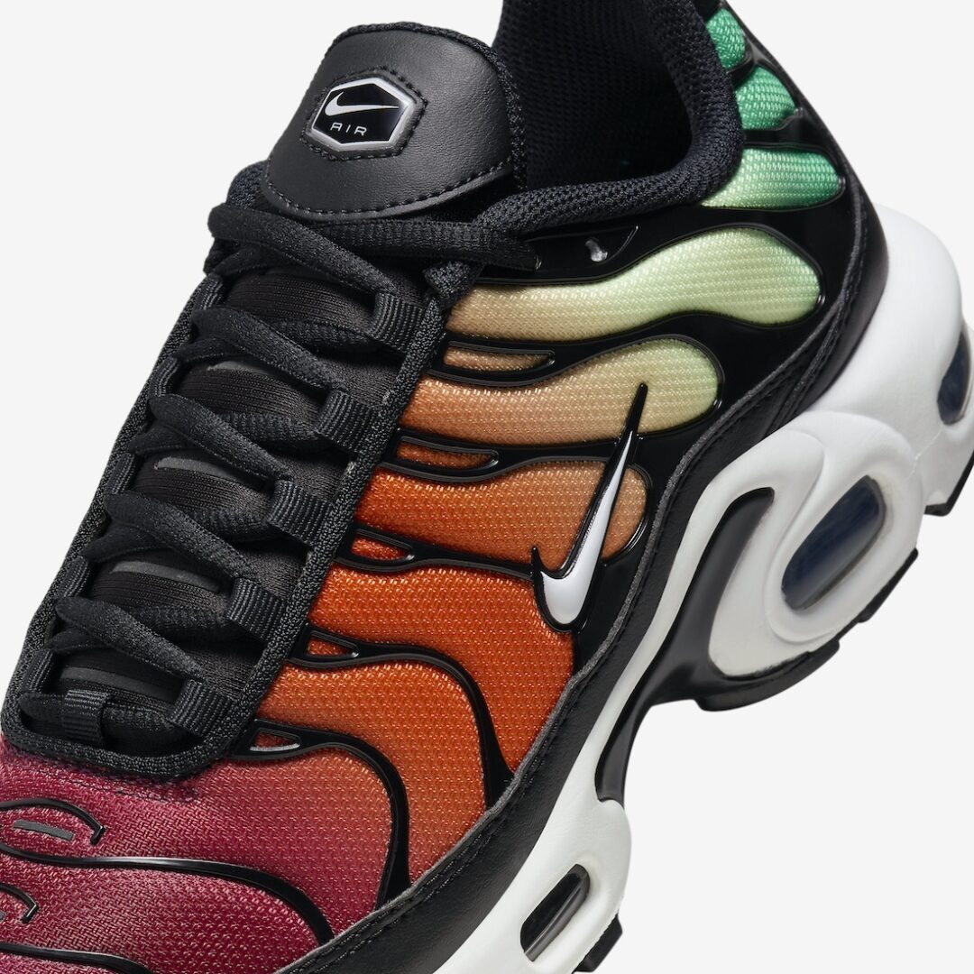 【国内 12/18 発売】NIKE AIR MAX PLUS “Rainbow” (ナイキ エア マックス プラス “レインボー”) [DZ3670-001]