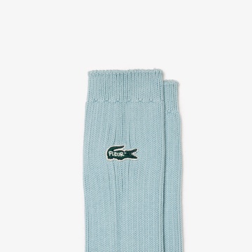 ラコステ × タイラー・ザ・クリエイターのブランド「le FLEUR*」コラボ第2弾が発売 (LACOSTE ル フルール)