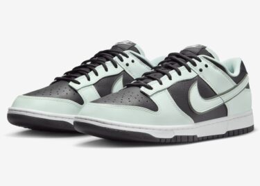 【2024年 2/7 発売】ナイキ ダンク ロ プレミアム “ダークスモークグレー/ベアリーグリーン” (NIKE DUNK LOW PREMIUM “Dark Smoke Grey/Barely Green”) [FZ1670-001]