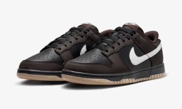 2024年 発売予定！NIKE DUNK LOW “Next Nature/Velvet Brown” (ナイキ ダンク ロー “ネクスト ネイチャー/ベルベットブラウン”) [HF9984-001]