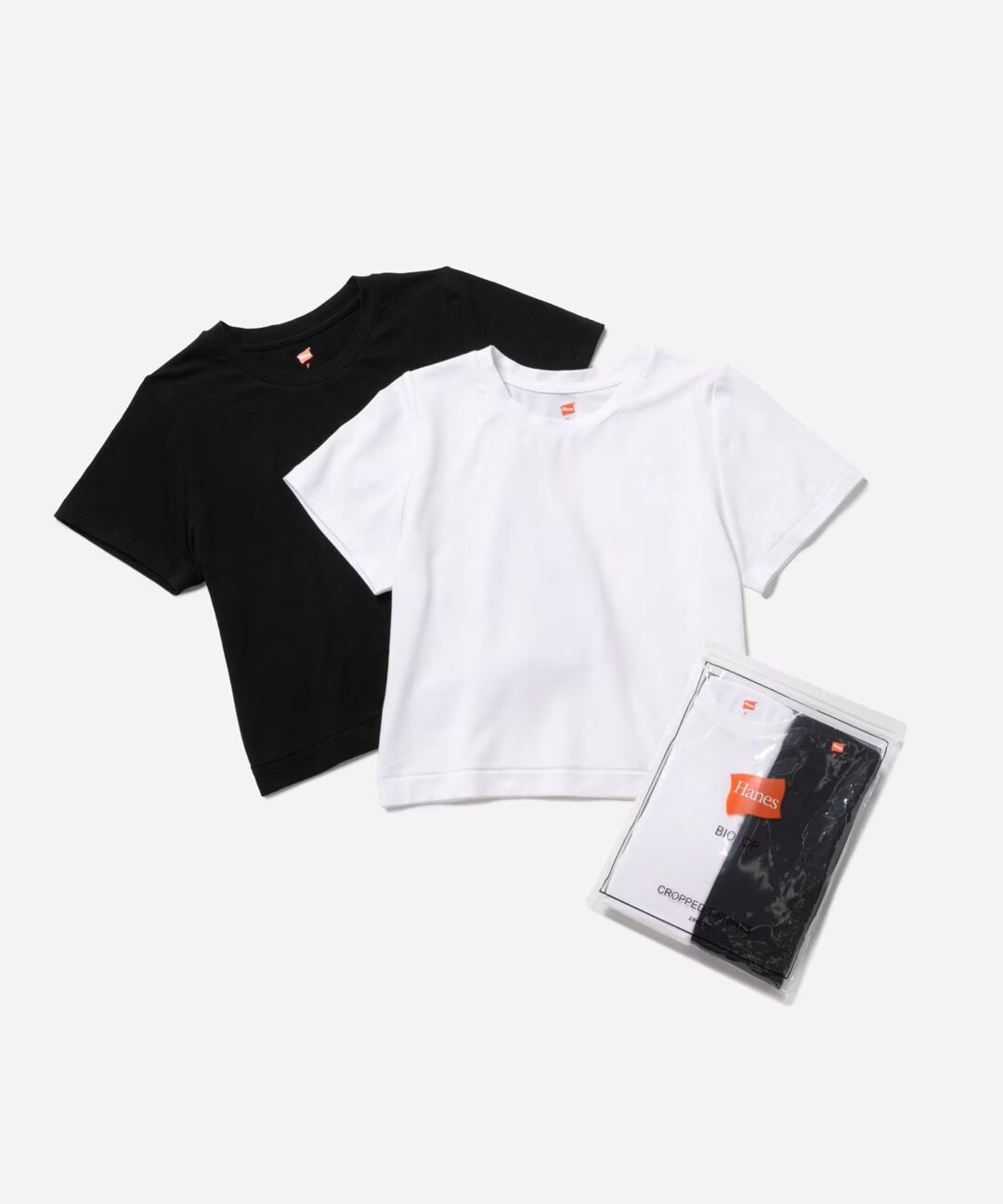 Hanes for BIOTOP 2024 S/S TEEが3/30 発売 (ヘインズ ビオトープ 2024年 春夏)