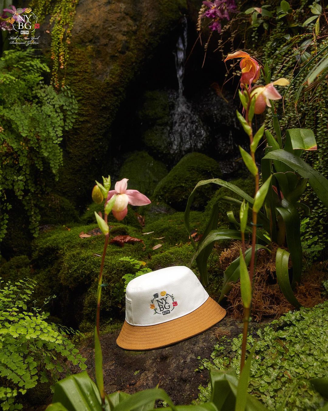 【Kith for New York Botanical Garden】KITH MONDAY PROGRAM 2024年 3/25 発売 (キス ニューヨーク ボタニカルガーデン)