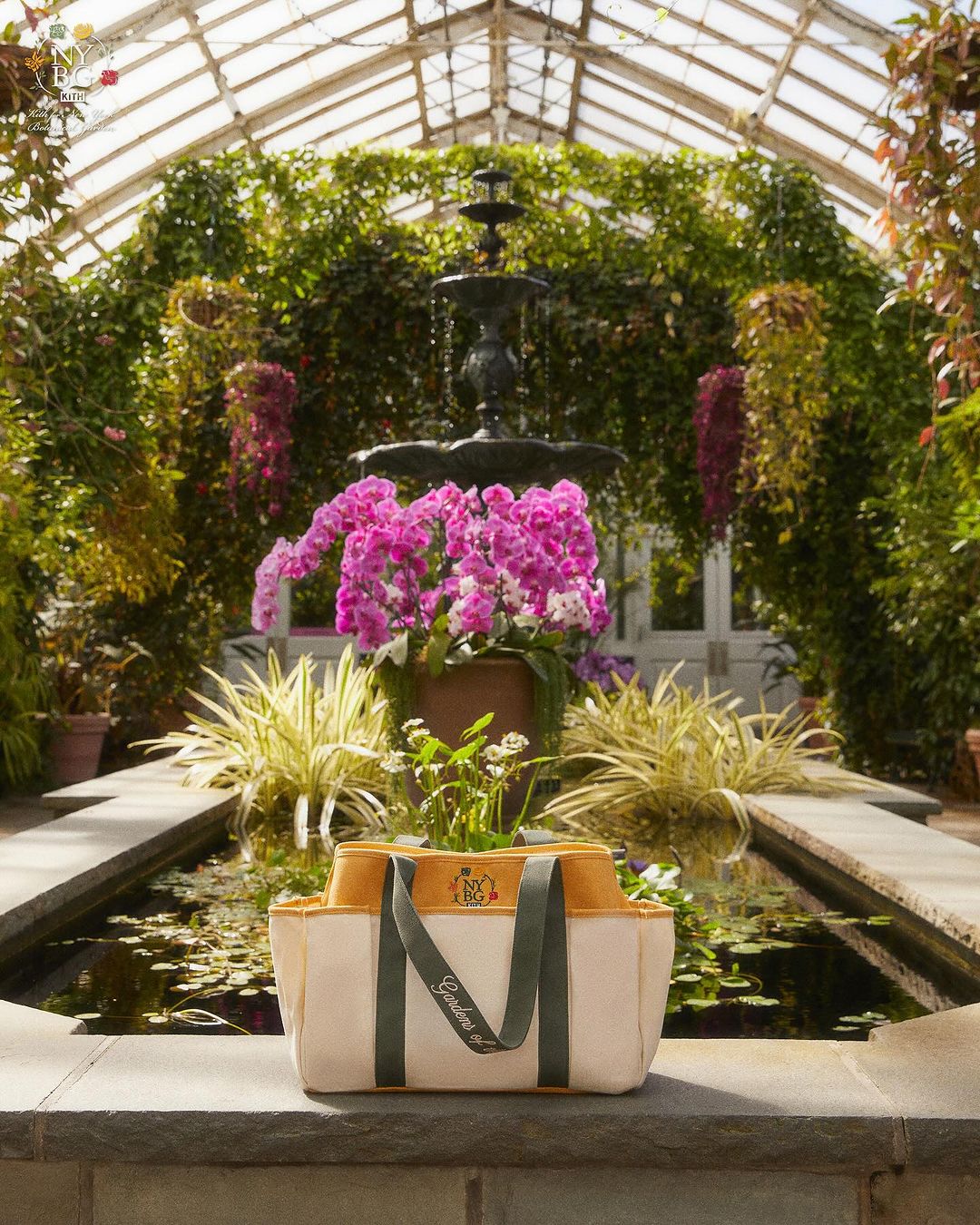 【Kith for New York Botanical Garden】KITH MONDAY PROGRAM 2024年 3/25 発売 (キス ニューヨーク ボタニカルガーデン)