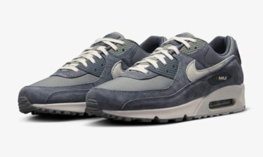 【海外発売】NIKE AIR MAX 90 PREMIUM “Iron Grey/Dark Stucco” (ナイキ エア マックス 90 プレミアム “アイアングレー/ダークスタッコ”) [HJ3989-001]