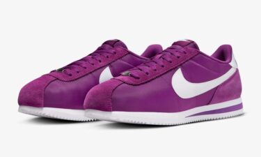 【海外発売】ナイキ コルテッツ TXT “バイオテック” (NIKE CORTEZ TXT “Viotech”) [HF0263-500]