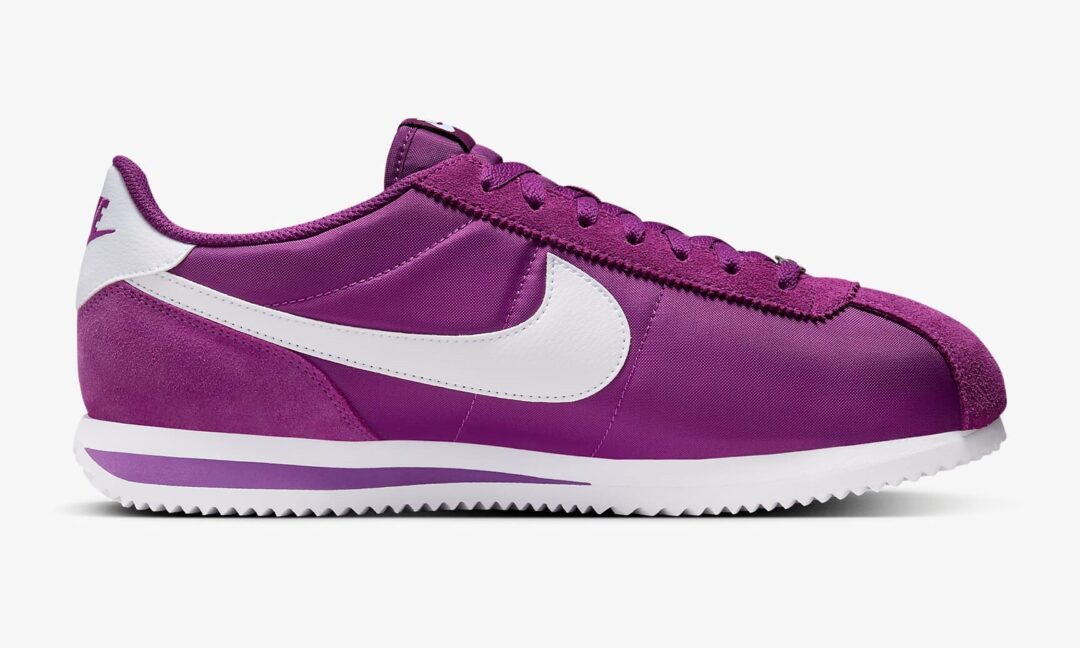 【海外発売】ナイキ コルテッツ TXT “バイオテック” (NIKE CORTEZ TXT “Viotech”) [HF0263-500]