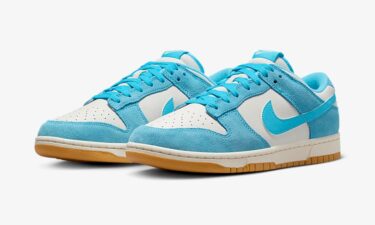 【2024年 発売予定】NIKE DUNK LOW "Phantom/Baltic Blue" (ナイキ ダンク ロー "ファントム/バルティックブルー") [HQ1519-031]