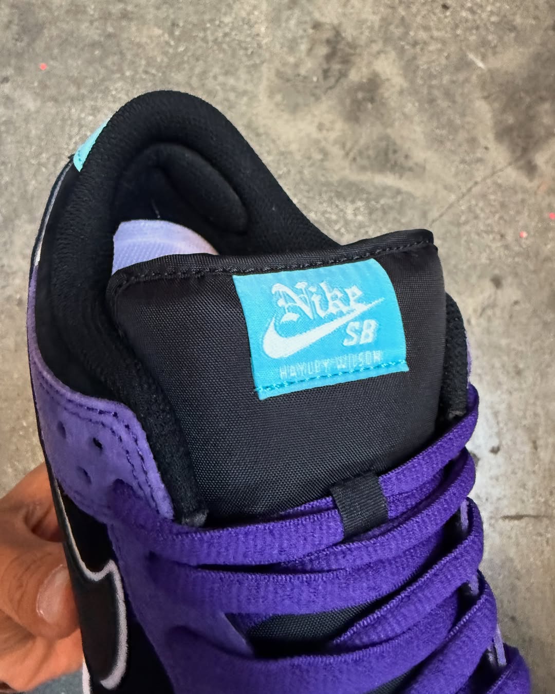 【2025年 6/5 & 6/7 発売】Hayley Wilson × NIKE SB DUNK LOW PRO (ヘーリー・ウィルソン ナイキ ダンク ロー プロ) [HJ0513-500]