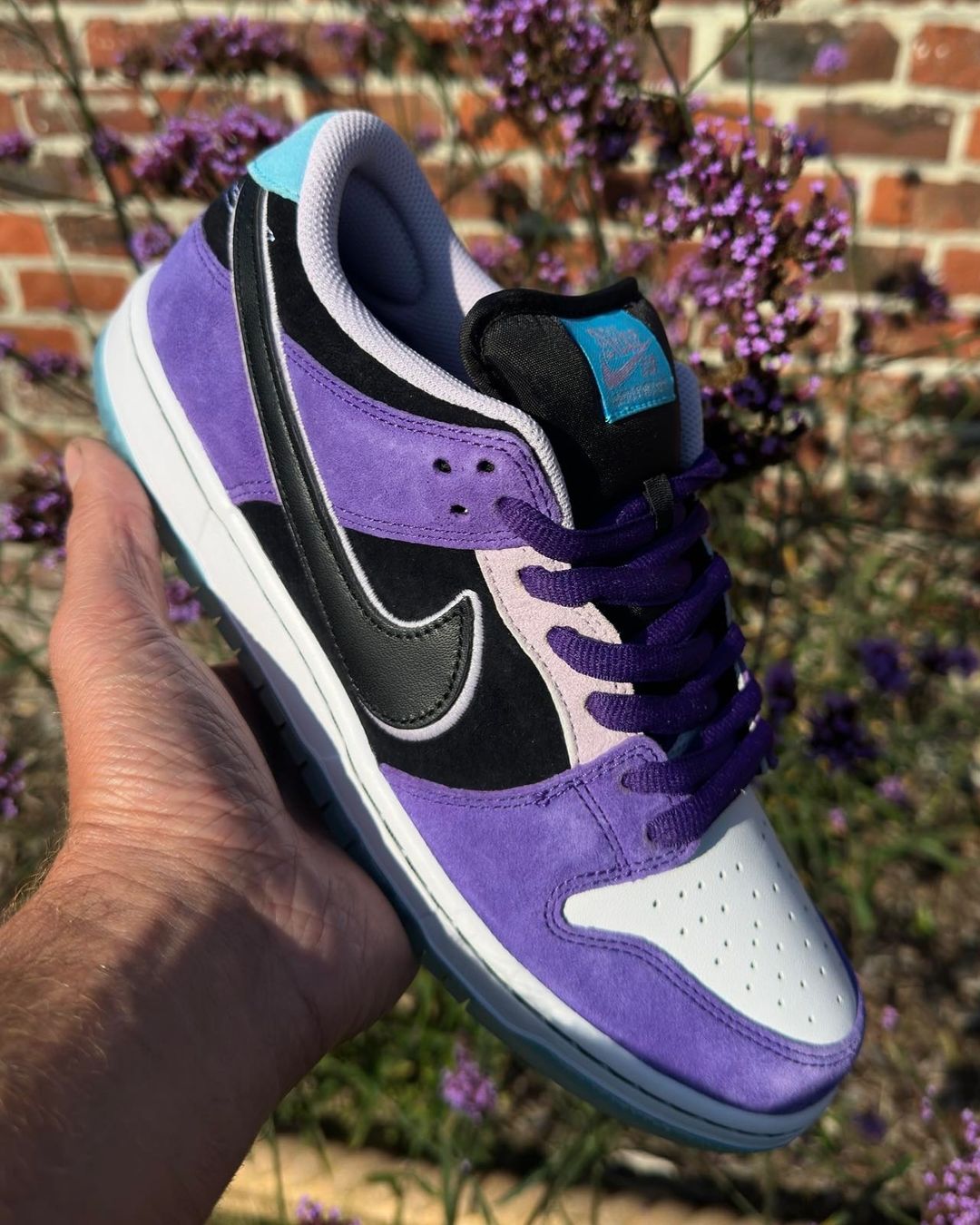 【2025年 6/5 & 6/7 発売】Hayley Wilson × NIKE SB DUNK LOW PRO (ヘーリー・ウィルソン ナイキ ダンク ロー プロ) [HJ0513-500]