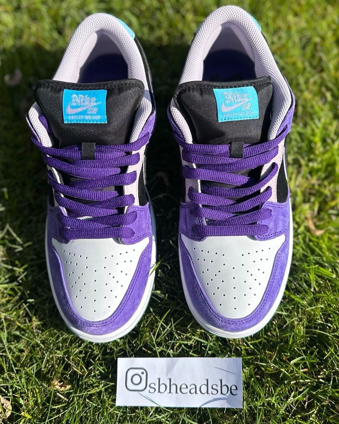 【2025年 6/5 & 6/7 発売】Hayley Wilson × NIKE SB DUNK LOW PRO (ヘーリー・ウィルソン ナイキ ダンク ロー プロ) [HJ0513-500]