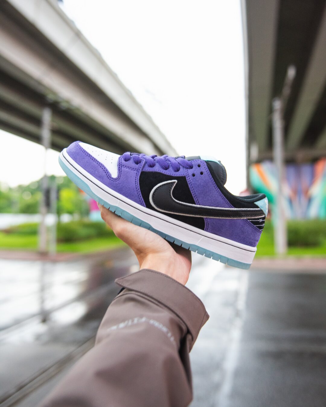【2025年 6/5 & 6/7 発売】Hayley Wilson × NIKE SB DUNK LOW PRO (ヘーリー・ウィルソン ナイキ ダンク ロー プロ) [HJ0513-500]