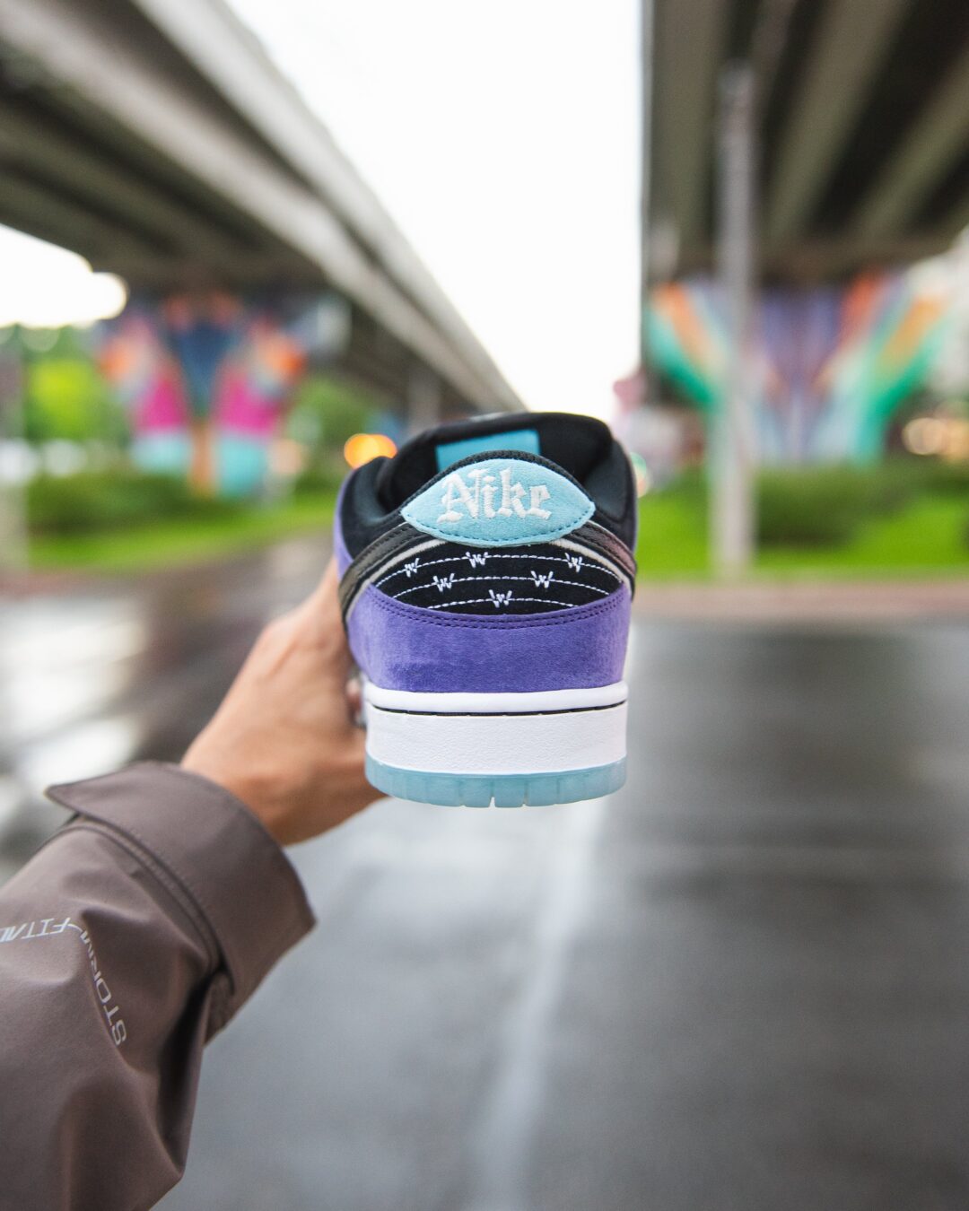 【2025年 6/5 & 6/7 発売】Hayley Wilson × NIKE SB DUNK LOW PRO (ヘーリー・ウィルソン ナイキ ダンク ロー プロ) [HJ0513-500]