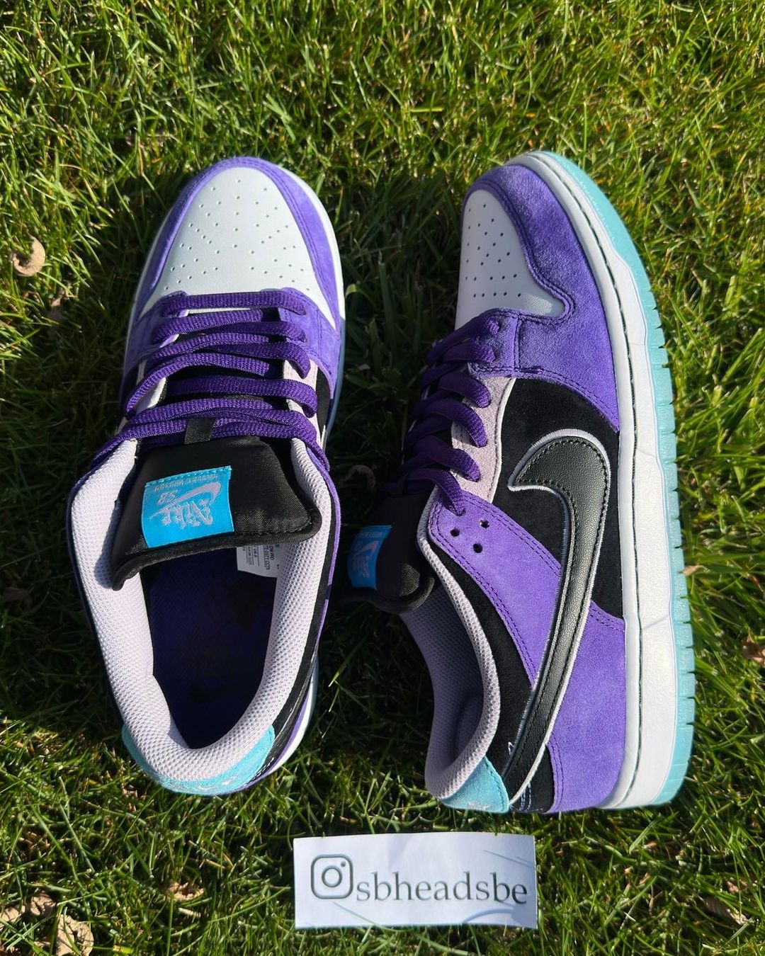 【2025年 6/5 & 6/7 発売】Hayley Wilson × NIKE SB DUNK LOW PRO (ヘーリー・ウィルソン ナイキ ダンク ロー プロ) [HJ0513-500]