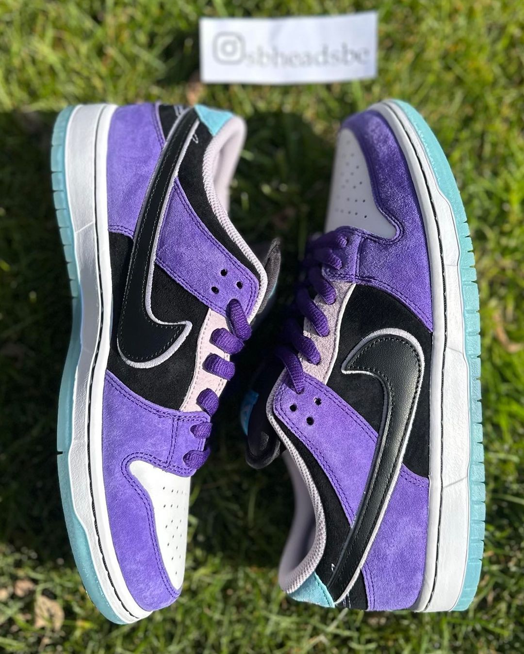 【2025年 6/5 & 6/7 発売】Hayley Wilson × NIKE SB DUNK LOW PRO (ヘーリー・ウィルソン ナイキ ダンク ロー プロ) [HJ0513-500]