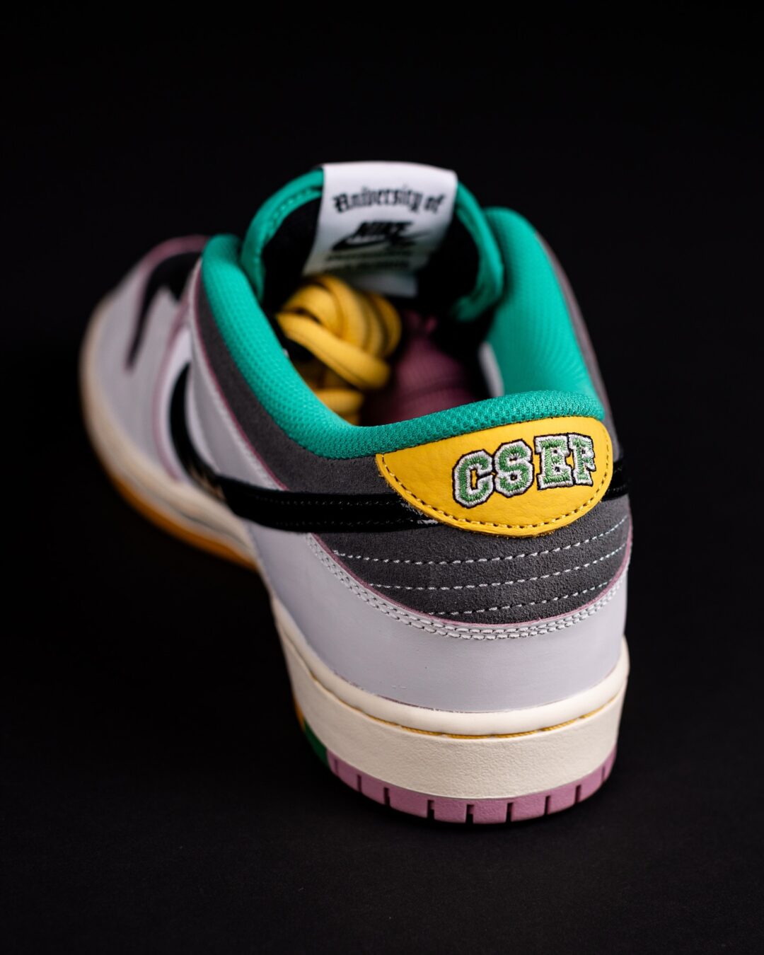 【2025年 5/1 & 5/3 発売】College Skateboarding Educational Foundation {CSEF} × NIKE SB DUNK LOW PRO QS (カレッジ スケートボーディング エデュケーショナル ファウンデーション ナイキ ダンク ロー) [HJ4132-100]