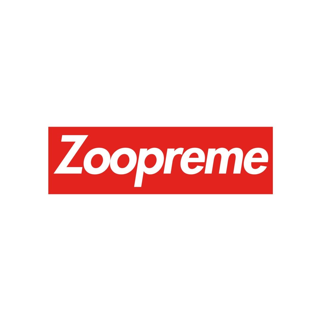 【SUPREME 2025 SS – シュプリーム 2025年 春夏】国内 7/5 発売予定 – week 19にレギュラーアイテム が登場予定