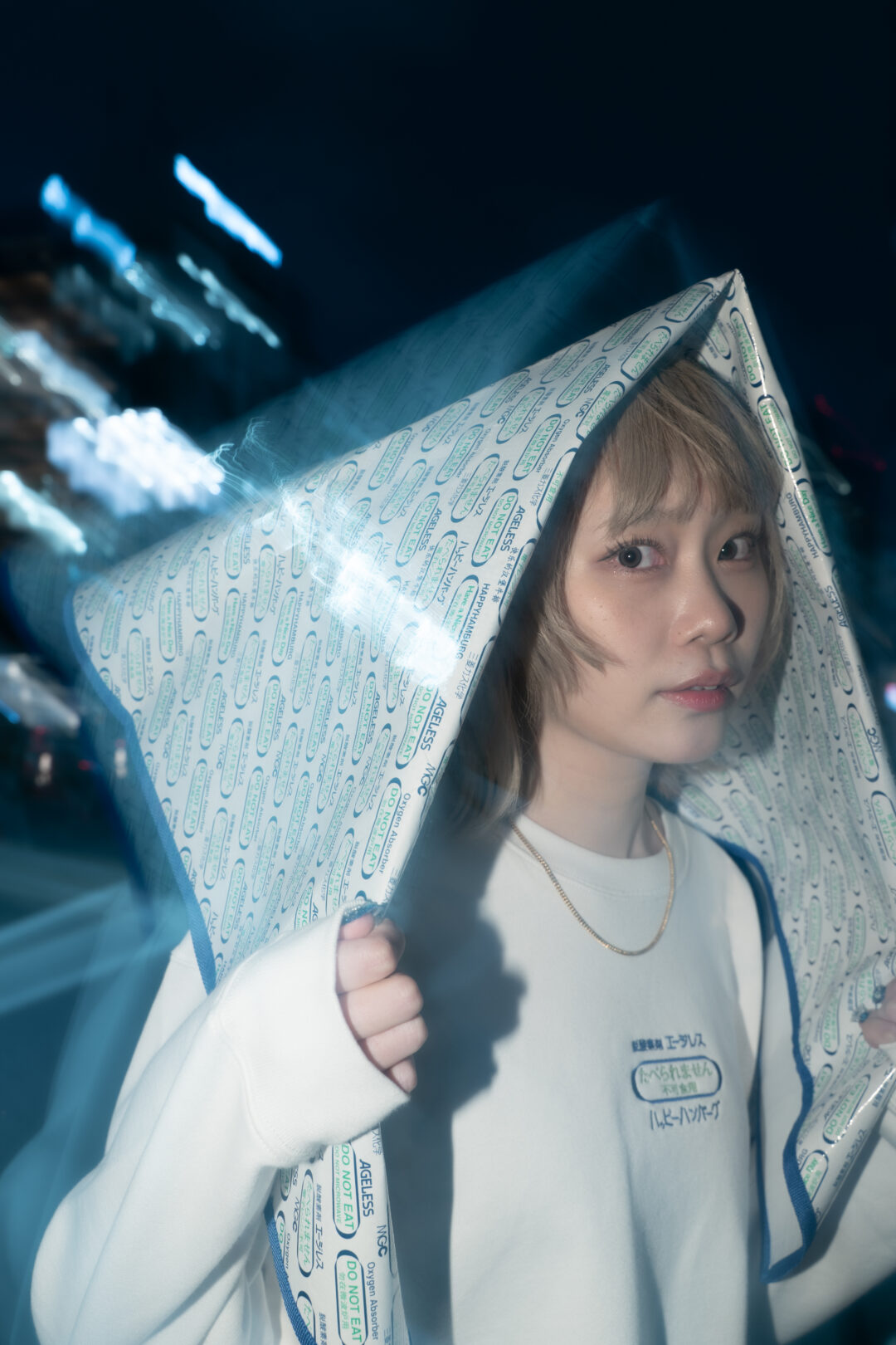 「“たべられません”コレクション第2弾」脱酸素剤エージレス × ハッピーハンバーグ コラボが2025年 4/11 発売