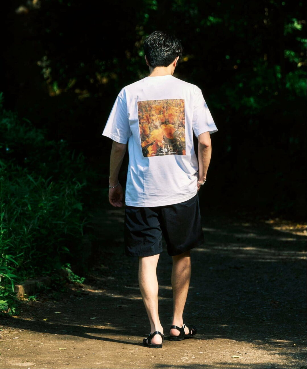 THE NORTH FACE 2025 SS “Pixel Plant Cotton Tee”が発売 (ザ・ノース・フェイス) [NT32549]