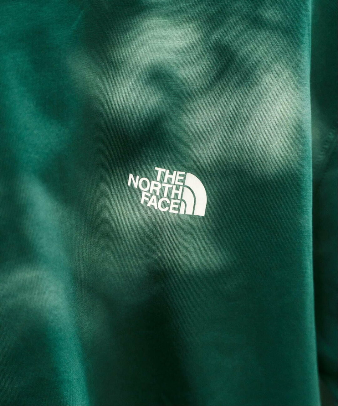 THE NORTH FACE 2025 SS “Pixel Plant Cotton Tee”が発売 (ザ・ノース・フェイス) [NT32549]