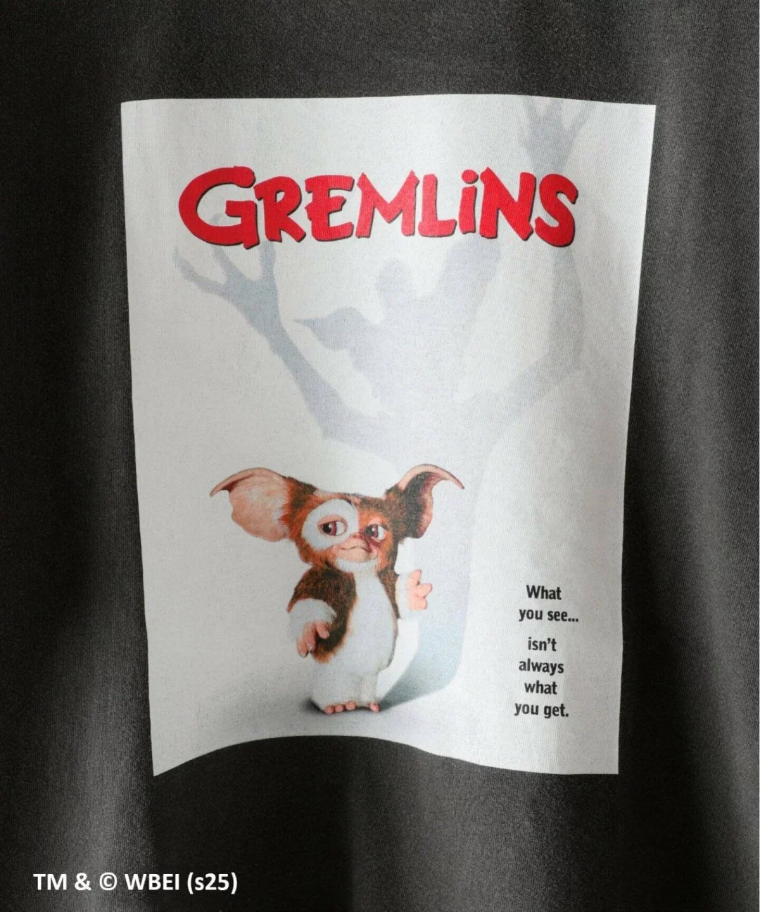 映画「GREMLINS/グレムリン」× SCREENSTARSBEST Tシャツが2025年 6月中旬 発売 (スクリーンスターズ)