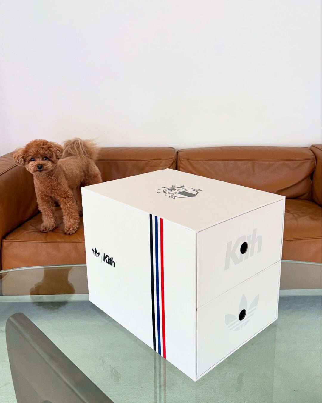 【50足】KITH × adidas Originals Predator Megaride “Tricolour” (アディダス オリジナルス プレデター メガライド “トリコロール”)