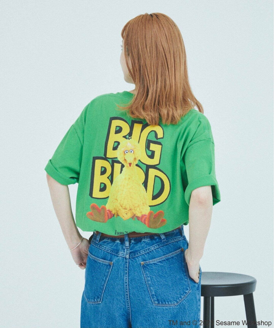 セサミストリート meet JOURNAL STANDARD 別注プリントTシャツが発売 (ジャーナルスタンダード SESAME STREET)
