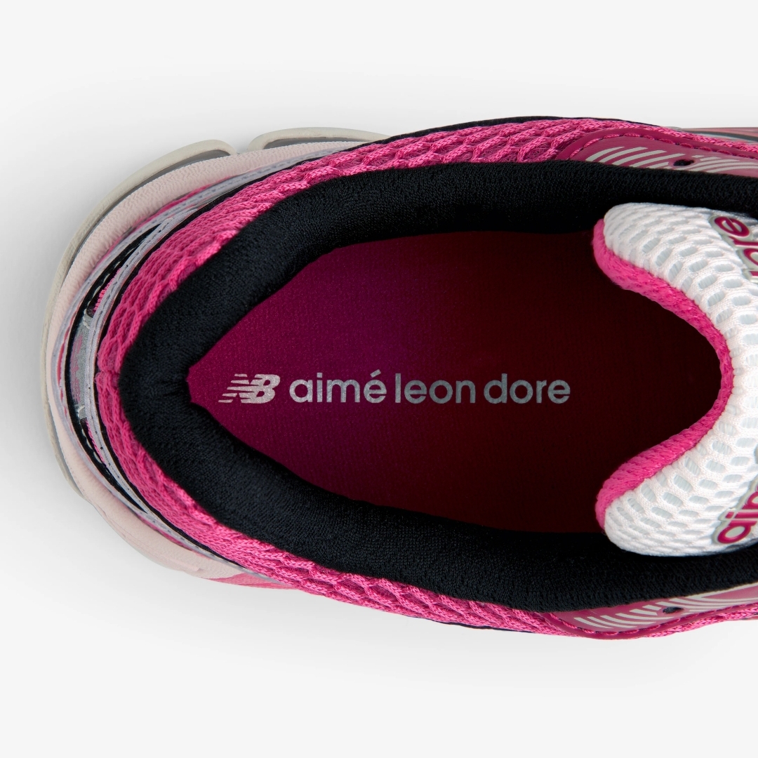 【2026 SS】Aimé Leon Dore × New Balance 860v2 (ニューバランス エメ レオン ドレ)