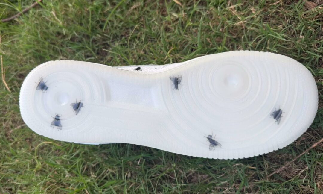 【2025年末 発売予定】NIKE AIR FORCE 1 LOW “Houseflies” (ナイキ エア フォース 1 ロー “ハウスフライ”) [IM3081-100]