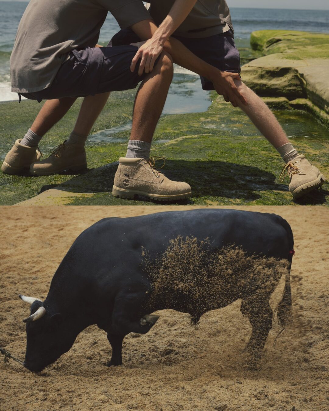 Timberland × nonnative “CHUKKA BOOT VIBRAM GTX” が2025年 7/26 発売 (ティンバーランド ノンネイティブ ゴアテックス GORE-TEX)
