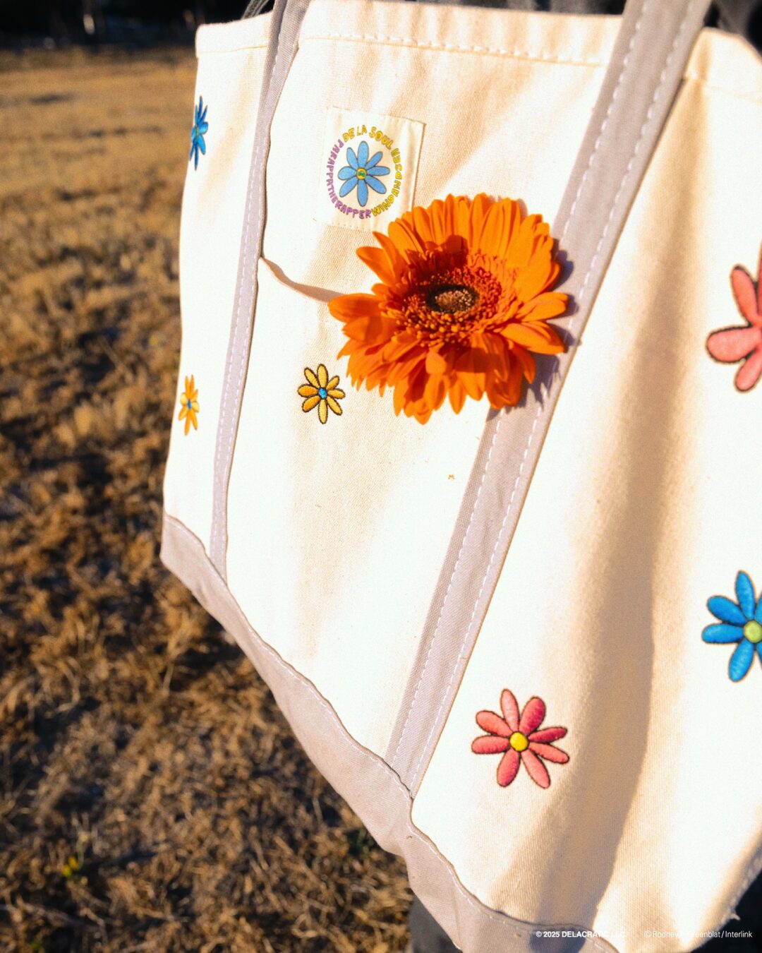 WIND AND SEA × De La Soul x パラッパラッパー コラボアイテムが近日発売 (ウィンダンシー PARAPPA THE RAPPER デ・ラ・ソウル)