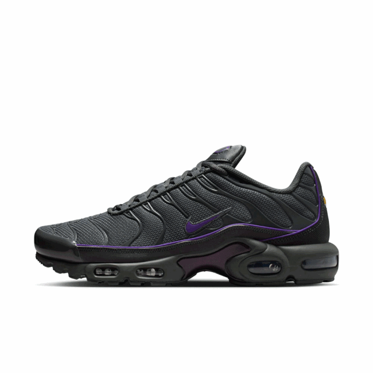 2025年 秋 発売予定】NIKE AIR MAX PLUS “Reflective/Iron Grey
